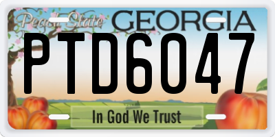 GA license plate PTD6047