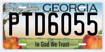 GA license plate PTD6055
