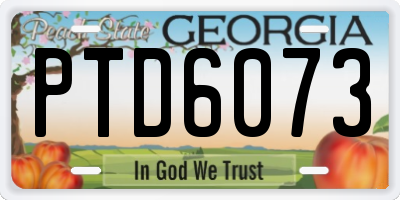 GA license plate PTD6073