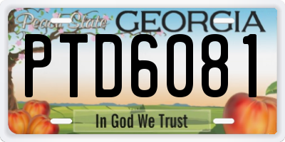 GA license plate PTD6081