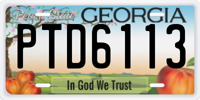 GA license plate PTD6113