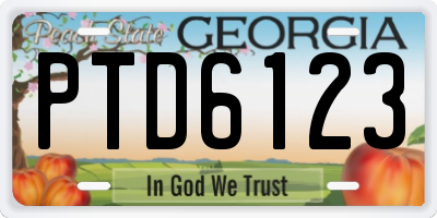 GA license plate PTD6123
