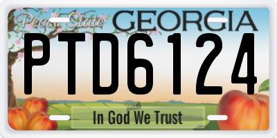 GA license plate PTD6124