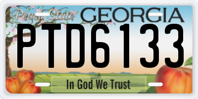 GA license plate PTD6133