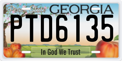 GA license plate PTD6135