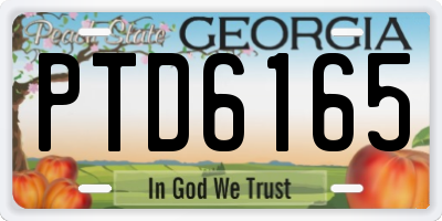 GA license plate PTD6165