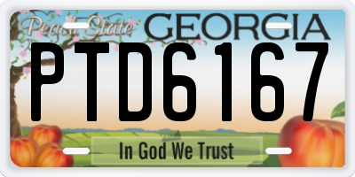 GA license plate PTD6167