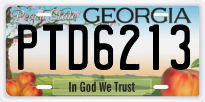 GA license plate PTD6213