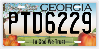 GA license plate PTD6229