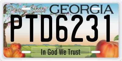 GA license plate PTD6231