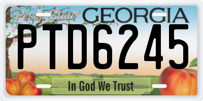 GA license plate PTD6245
