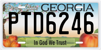 GA license plate PTD6246