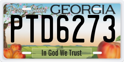 GA license plate PTD6273