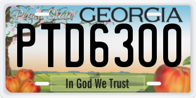 GA license plate PTD6300