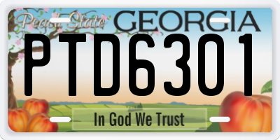 GA license plate PTD6301