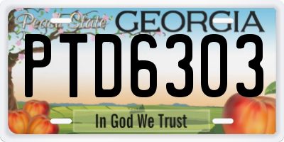 GA license plate PTD6303
