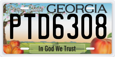 GA license plate PTD6308
