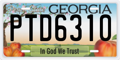 GA license plate PTD6310