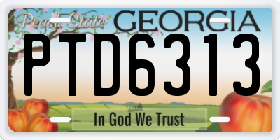GA license plate PTD6313