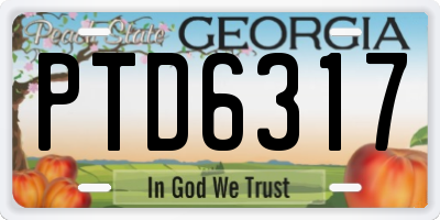 GA license plate PTD6317