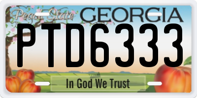 GA license plate PTD6333