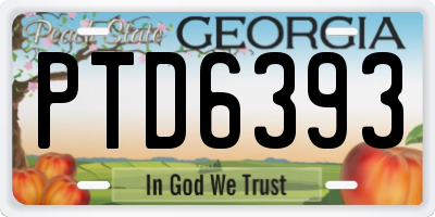 GA license plate PTD6393