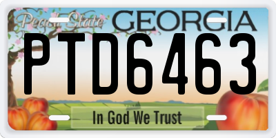 GA license plate PTD6463