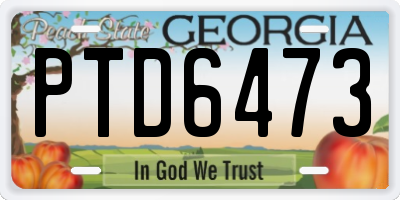 GA license plate PTD6473