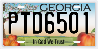 GA license plate PTD6501