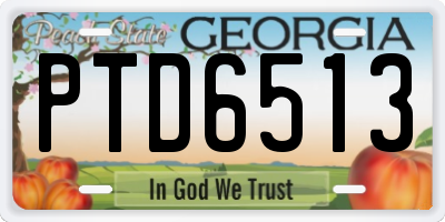 GA license plate PTD6513