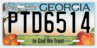 GA license plate PTD6514