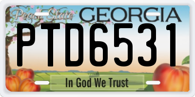 GA license plate PTD6531