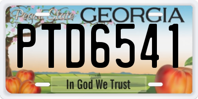 GA license plate PTD6541