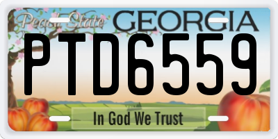 GA license plate PTD6559