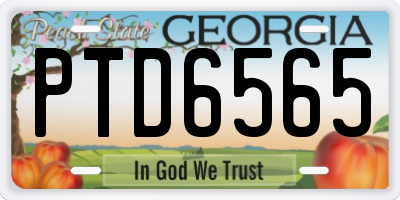 GA license plate PTD6565