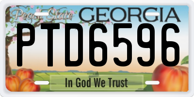 GA license plate PTD6596