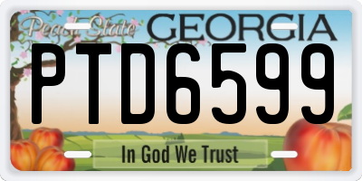 GA license plate PTD6599