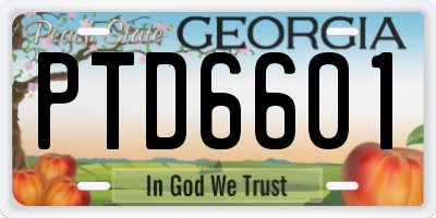GA license plate PTD6601