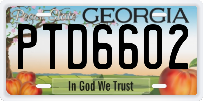 GA license plate PTD6602