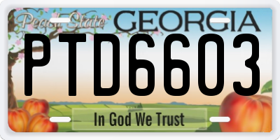 GA license plate PTD6603