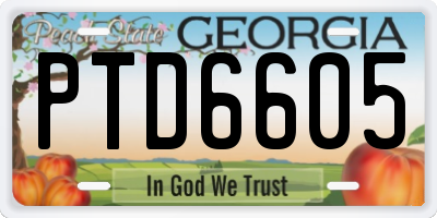 GA license plate PTD6605