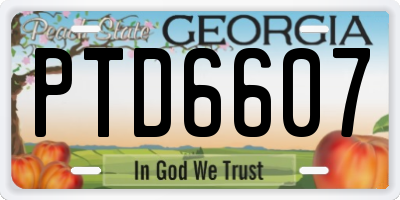 GA license plate PTD6607