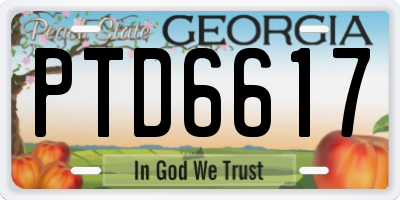 GA license plate PTD6617