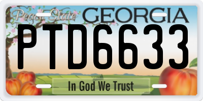 GA license plate PTD6633