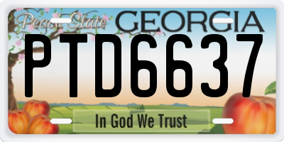GA license plate PTD6637