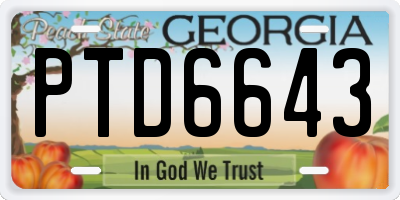 GA license plate PTD6643