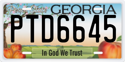 GA license plate PTD6645