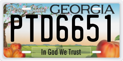 GA license plate PTD6651
