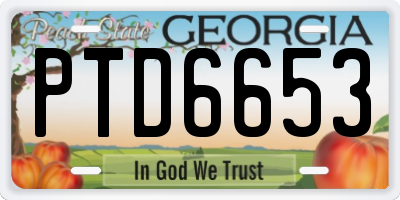 GA license plate PTD6653