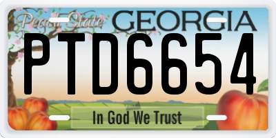 GA license plate PTD6654